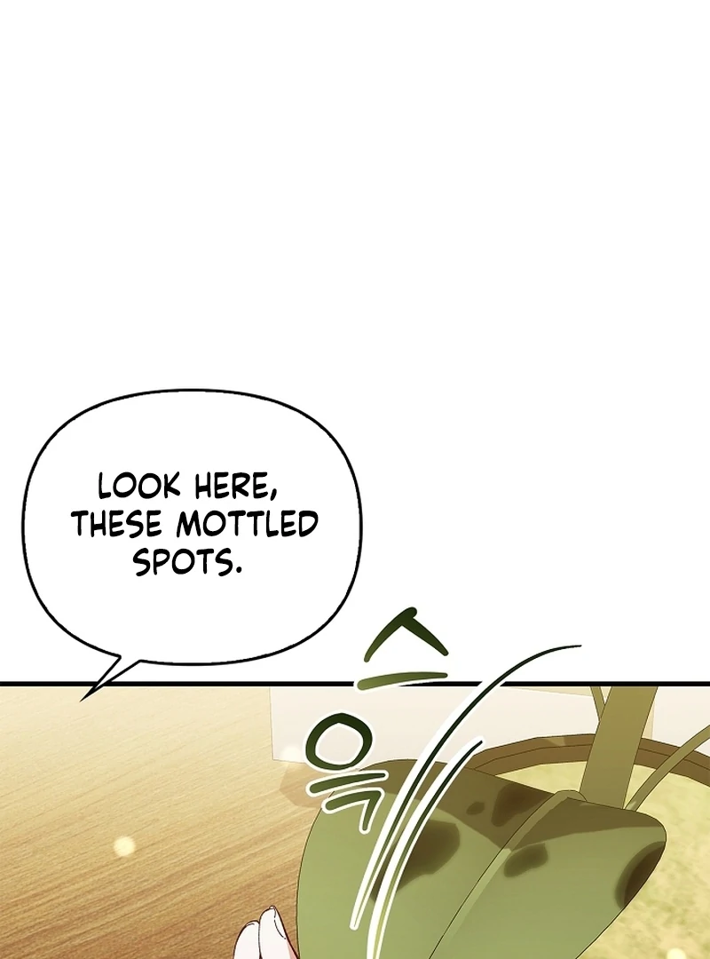 The Back-Alley Mage’s Return Chapter 17 - Page 120
