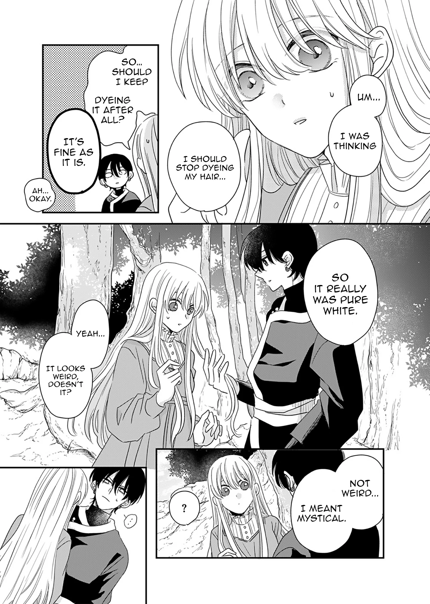 The Banished Princess Is Picked Up by a Great Mage Chapter 4 - Page 5