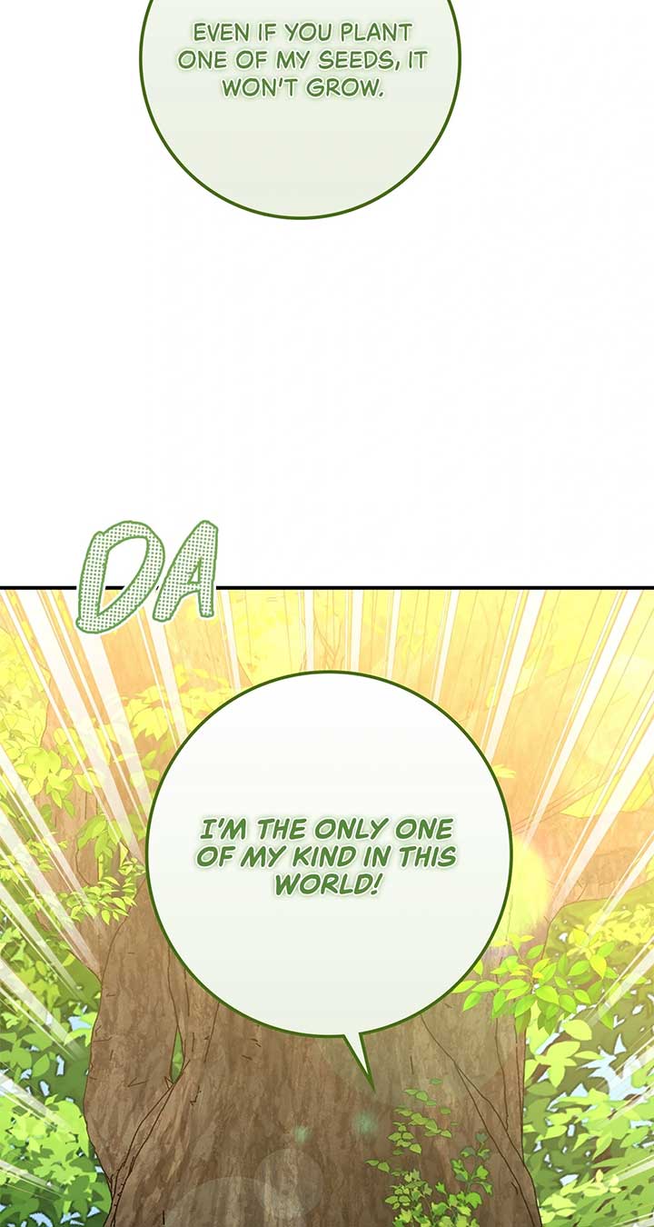 The Beloved Gardener of the World Tree Chapter 10 - Page 105