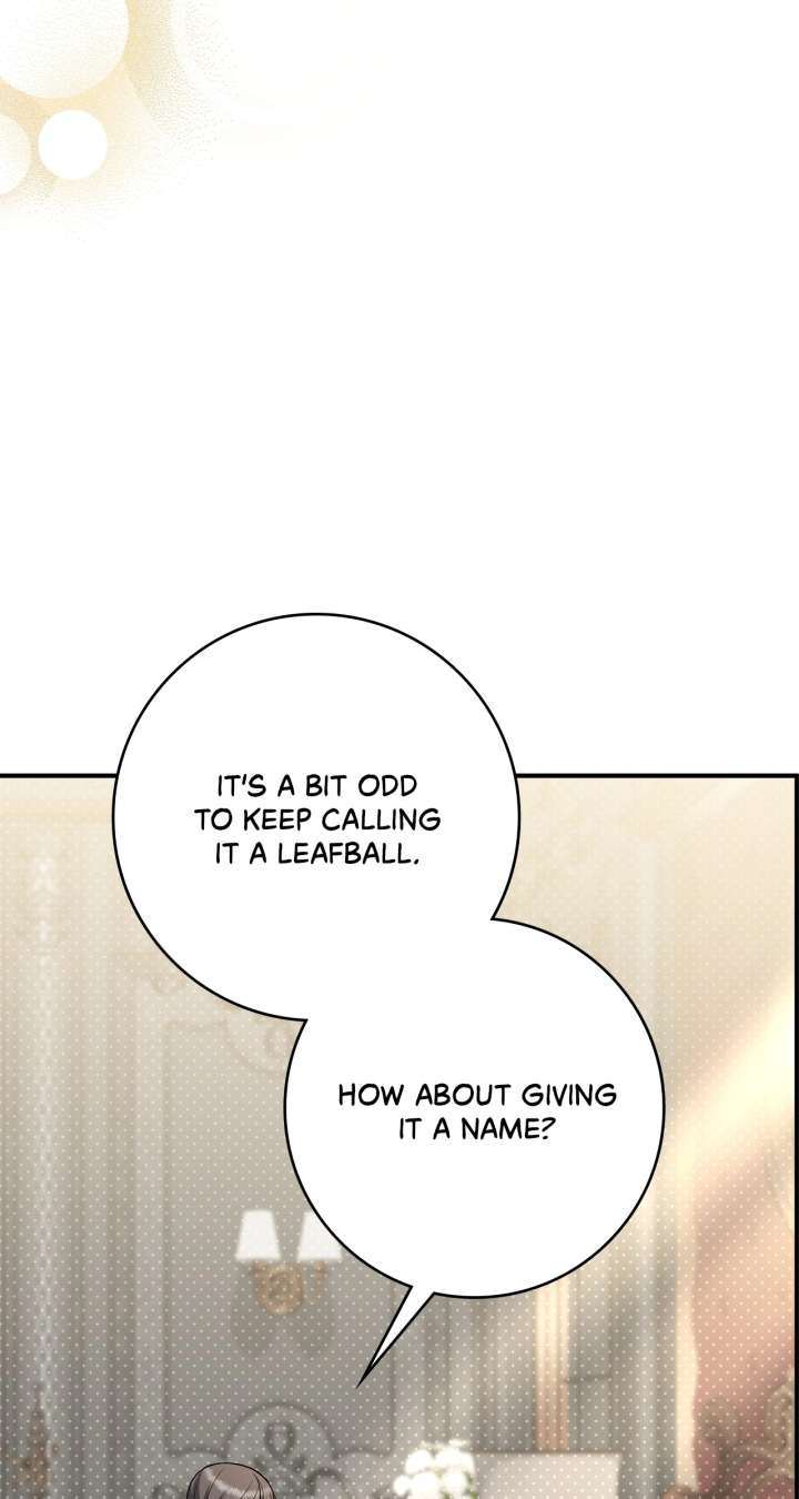 The Beloved Gardener of the World Tree Chapter 13 - Page 14