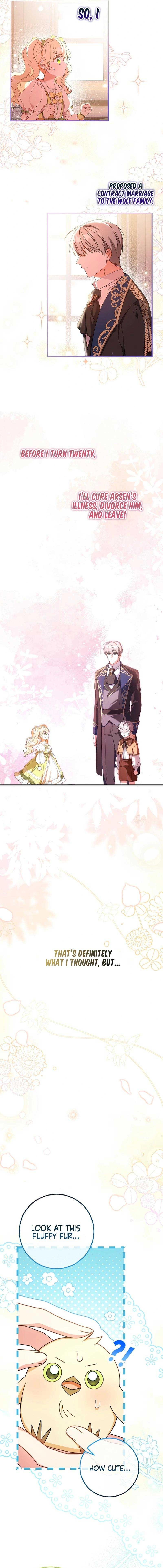 The Beloved New Daughter-In-Law of the Wolf Mansion Chapter 0 - Page 2