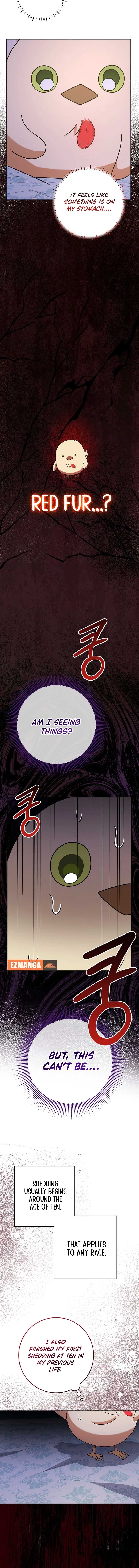 The Beloved New Daughter-In-Law of the Wolf Mansion Chapter 14 - Page 9