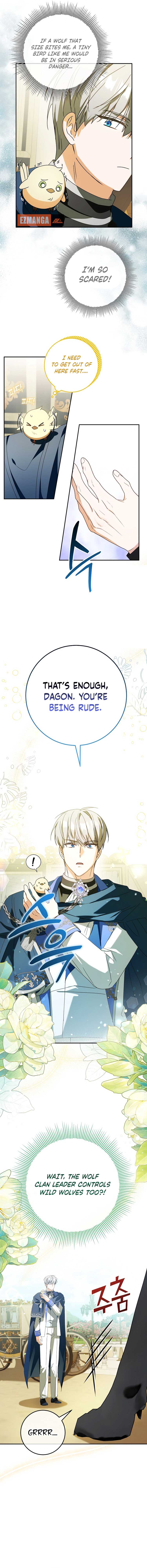 The Beloved New Daughter-In-Law of the Wolf Mansion Chapter 6 - Page 1