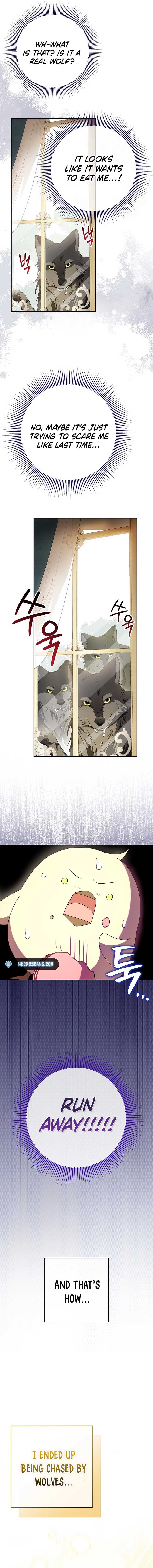 The Beloved New Daughter-In-Law of the Wolf Mansion Chapter 8 - Page 8