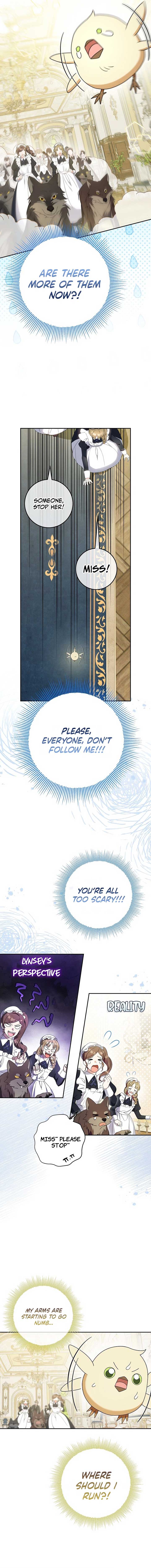 The Beloved New Daughter-In-Law of the Wolf Mansion Chapter 8 - Page 9