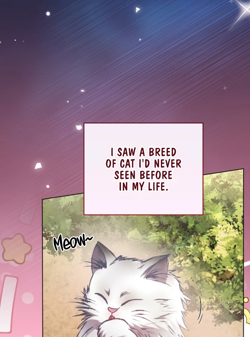 The Black-Haired Dad Is Not Reaping Chapter 25 - Page 11