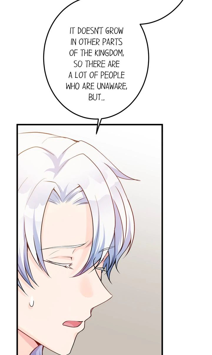 The Caring Young Lady Wants to Be a Wall Chapter 22 - Page 66