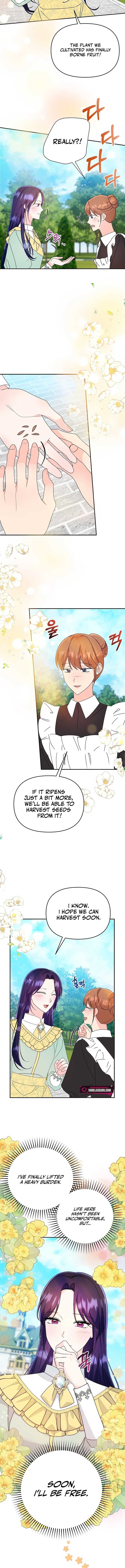 The Contract Marriage Has Come to an End Chapter 16 - Page 2