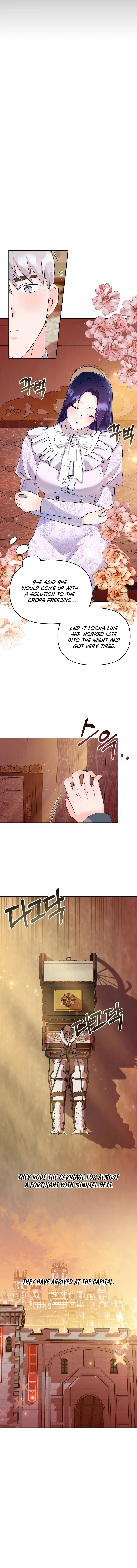 The Contract Marriage Has Come to an End Chapter 4 - Page 12