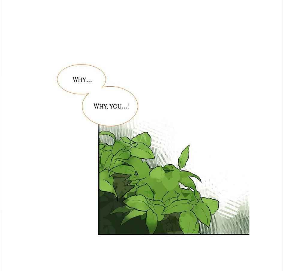 The Cook’s Hidden Blessing Chapter 20 - Page 5