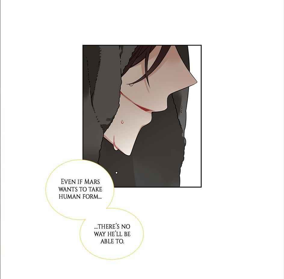 The Cook’s Hidden Blessing Chapter 40 - Page 42