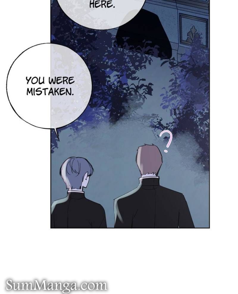 The Corrupted Witch Has No Choice but to Become a Villain Chapter 10 - Page 17