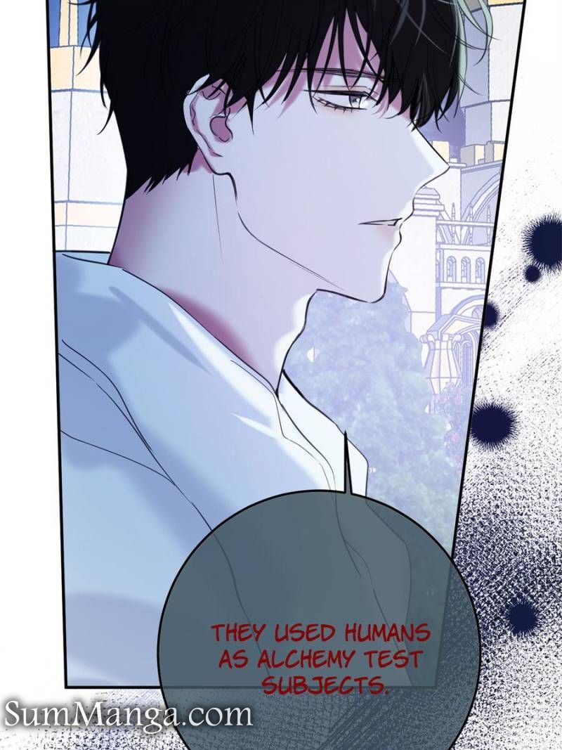 The Corrupted Witch Has No Choice but to Become a Villain Chapter 33 - Page 25