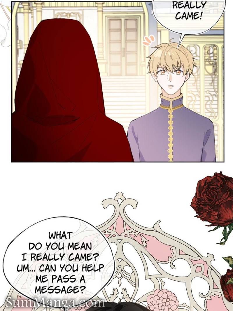 The Corrupted Witch Has No Choice but to Become a Villain Chapter 9 - Page 13