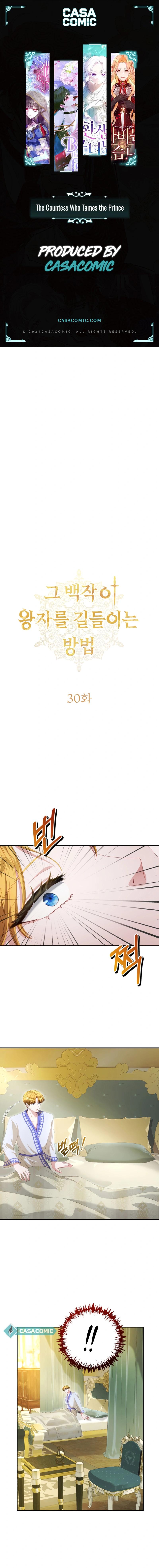 The Countess Who Tames the Prince Chapter 30 - Page 0