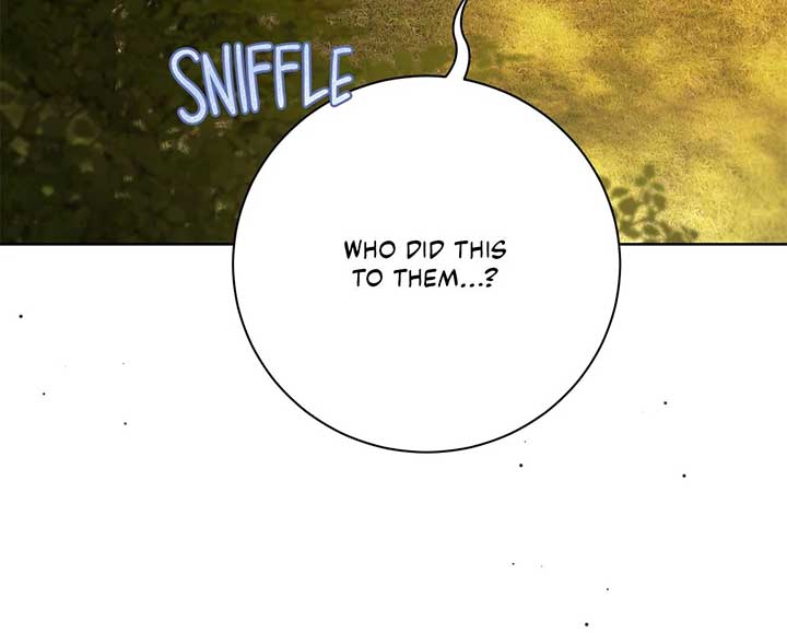 The Count’s Secret Maid Chapter 46 - Page 14