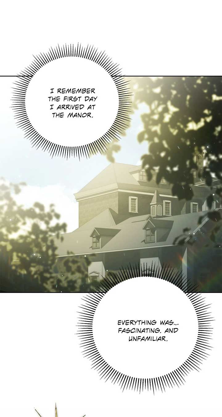 The Count’s Secret Maid Chapter 46 - Page 48