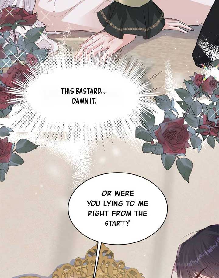 The Count’s Submissive Journal Chapter 1 - Page 13