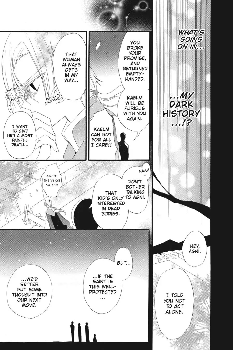 The Dark History of the Reincarnated Villainess Chapter 17 - Page 27
