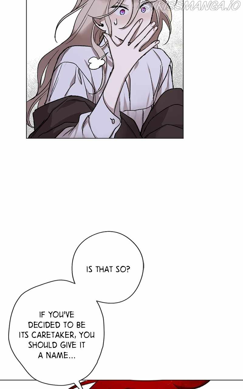 The Demon King’s Confession Chapter 11 - Page 12