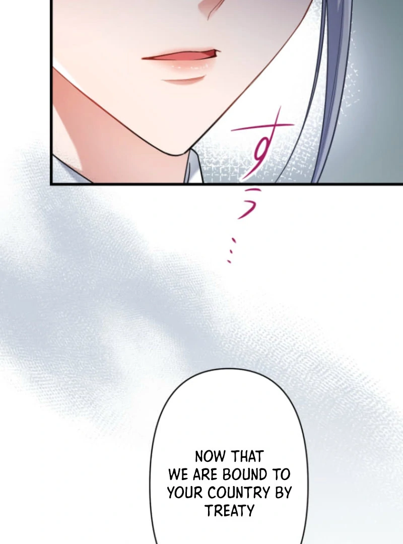 The Desire of the Princess From a Fallen Kingdom Chapter 5 - Page 41