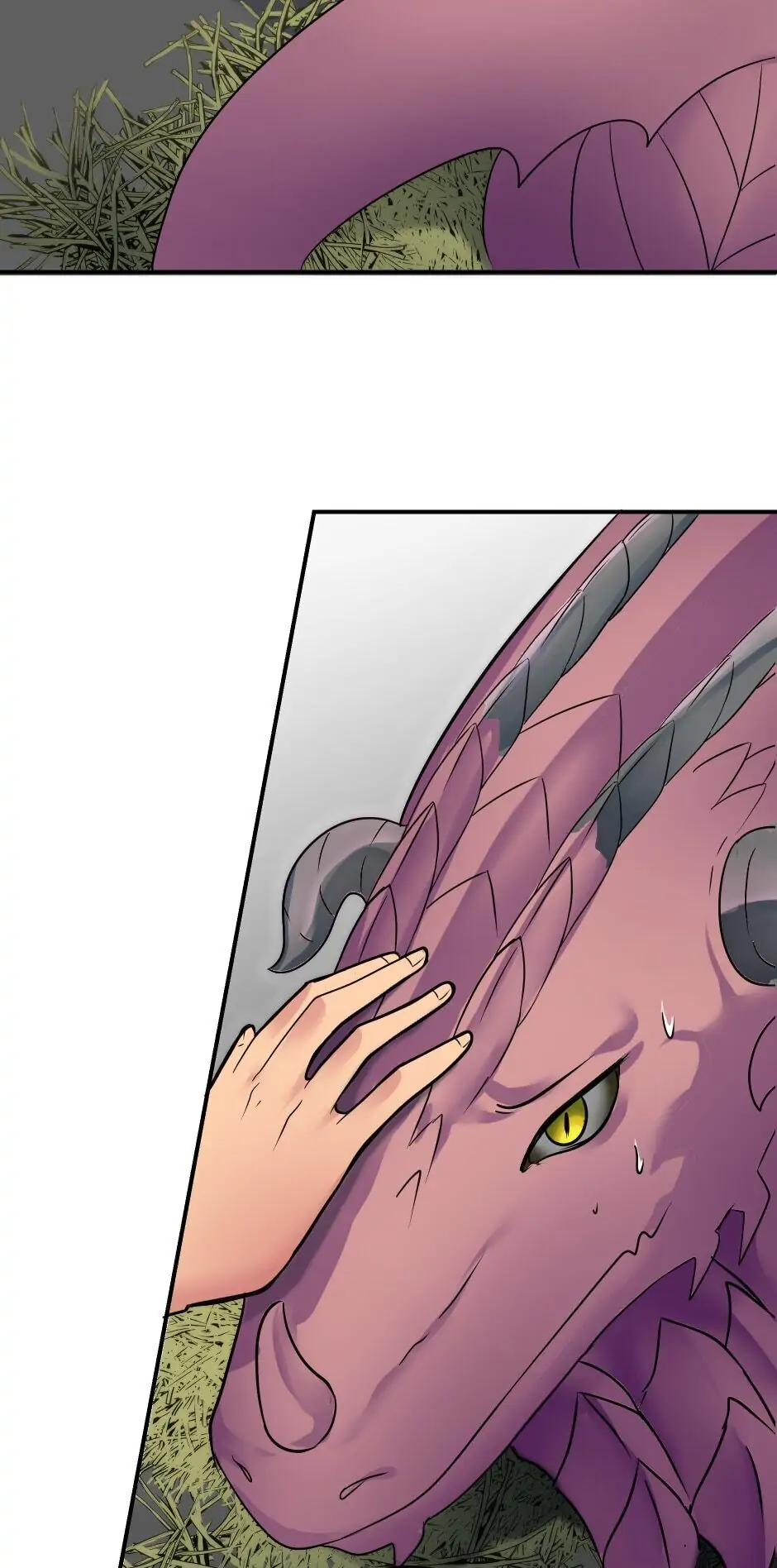 The Dragon Prince’s Bride Chapter 74 - Page 29
