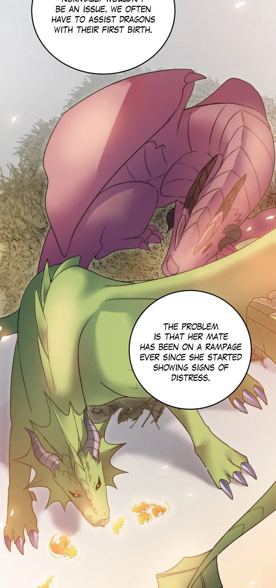 The Dragon Prince’s Bride Chapter 74 - Page 5