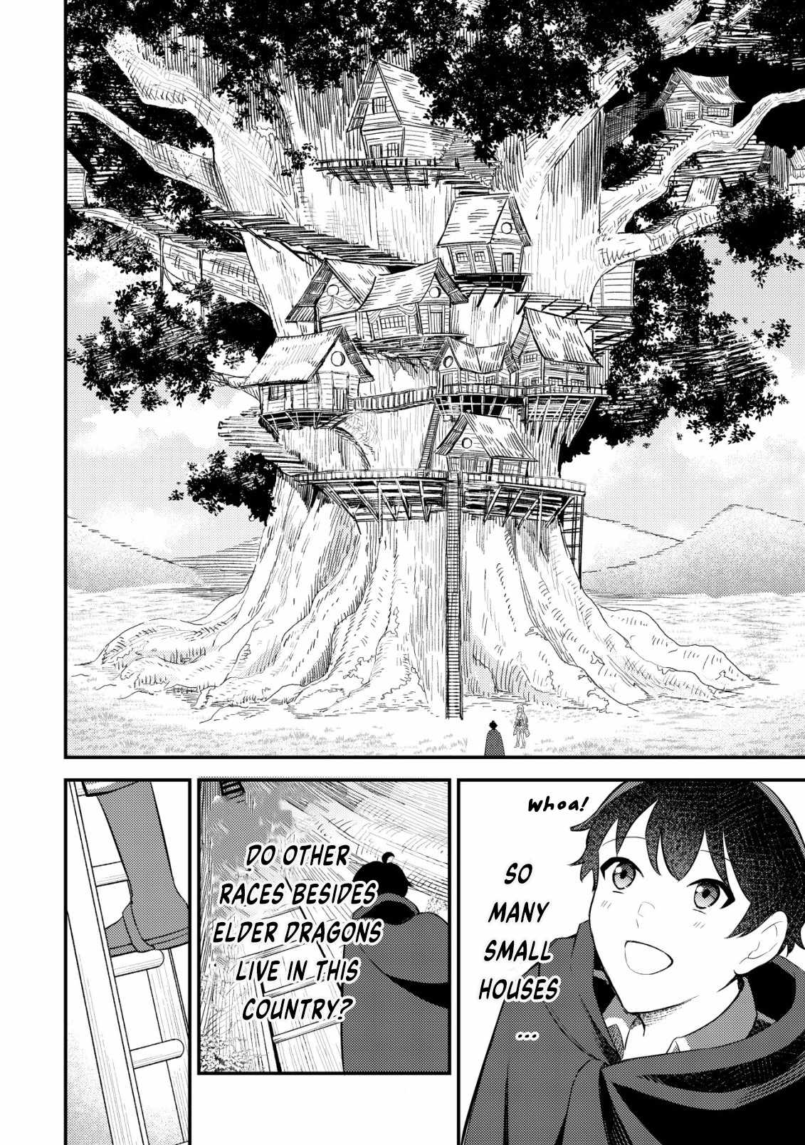 The Dragon Tamer of the Divine Dragon Empire Chapter 3 - Page 11