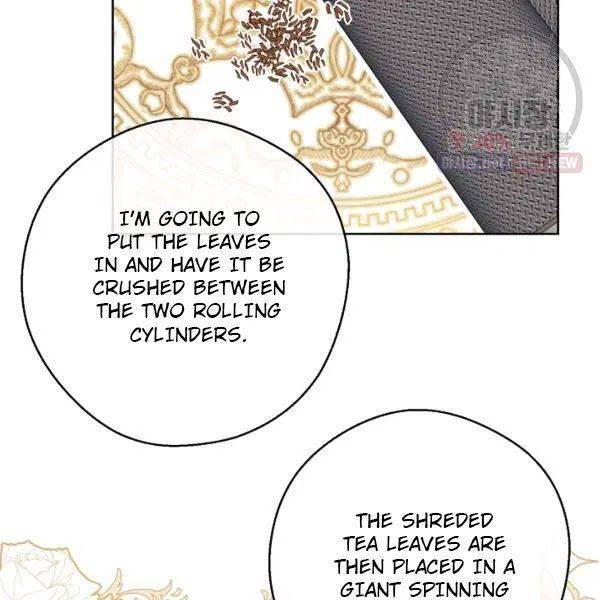 The Duchess’ 50 Tea Recipes Chapter 119 - Page 16