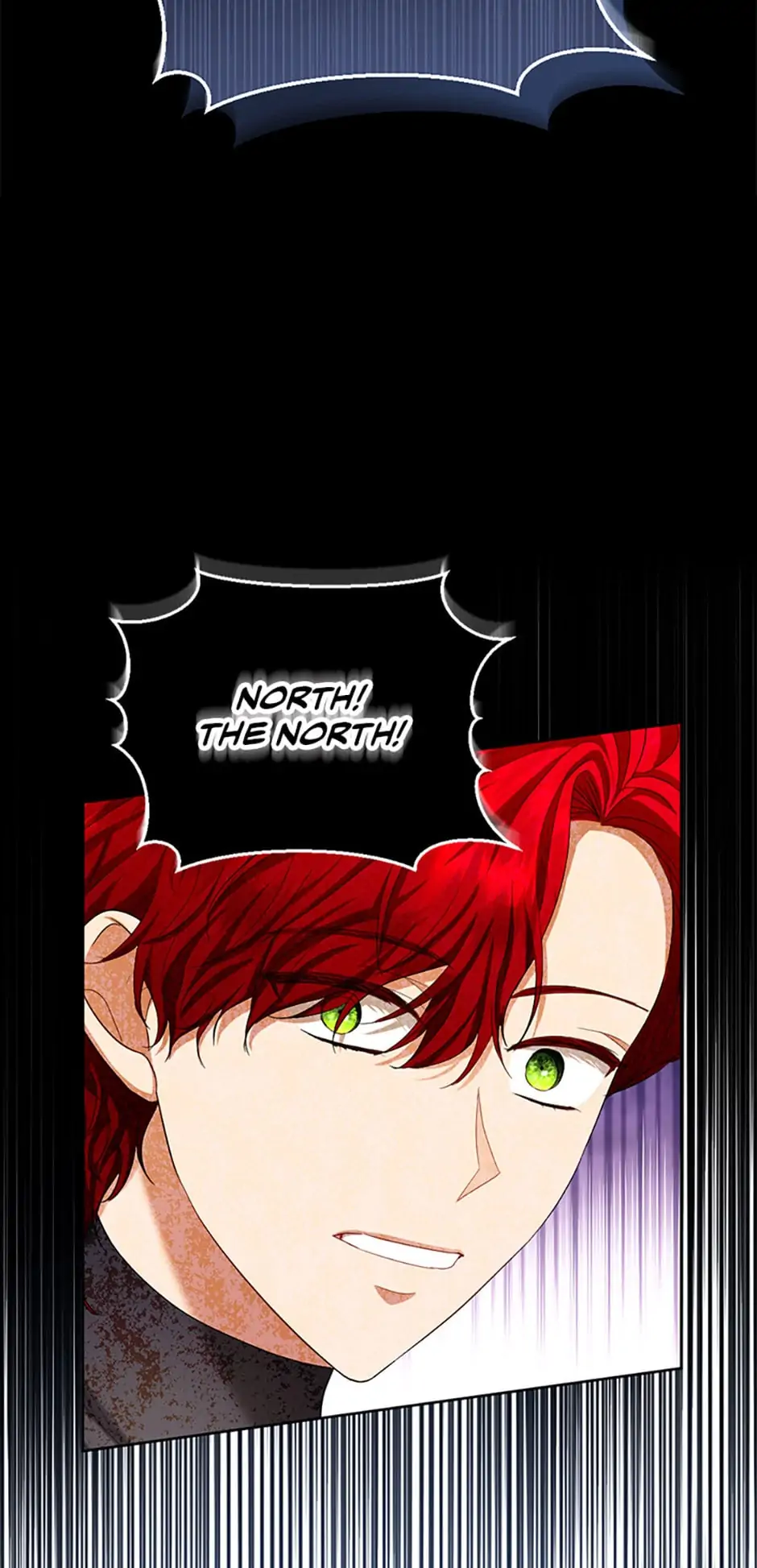 The Duke of Ashleyan’s Contractual Marriage Chapter 67 - Page 3
