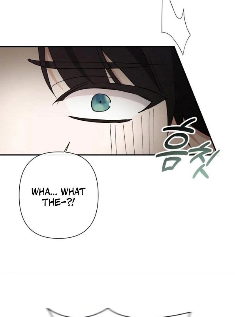The Duke’s Maid Chapter 28 - Page 85