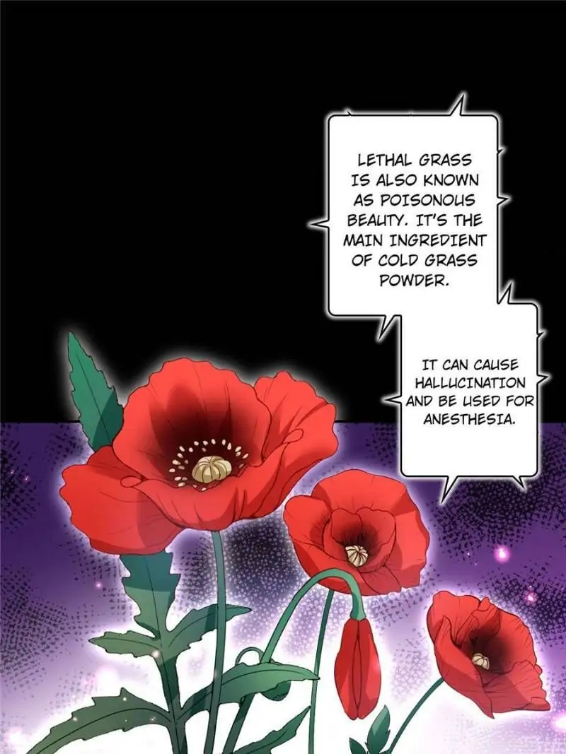 The Evil Empress Chapter 50 - Page 7