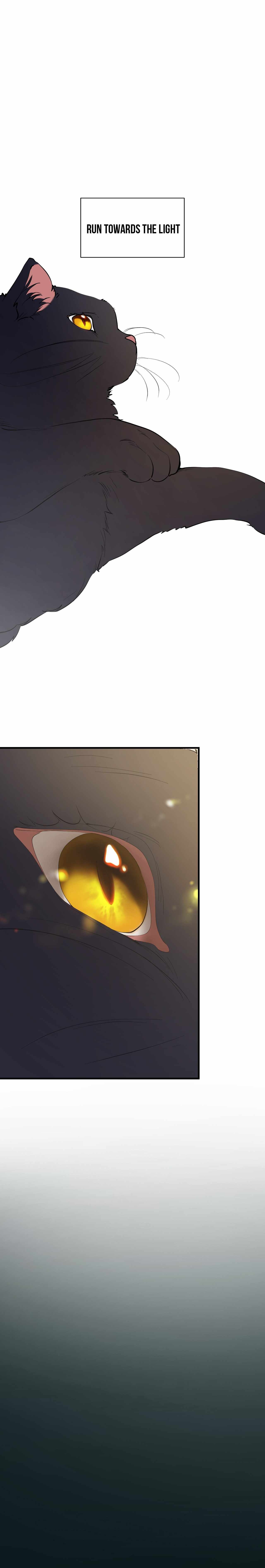 The Fairy Tale in the Cat’s Heart Chapter 0 - Page 23