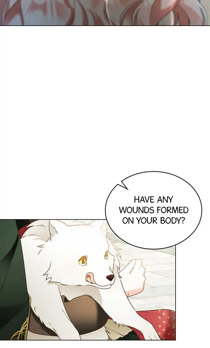The Golden Dawn Light Will Shine for You Chapter 36 - Page 12