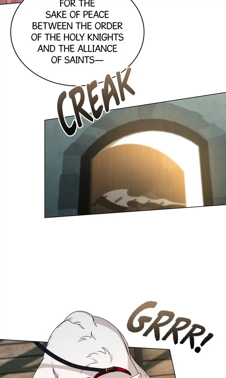 The Golden Dawn Light Will Shine for You Chapter 41 - Page 47