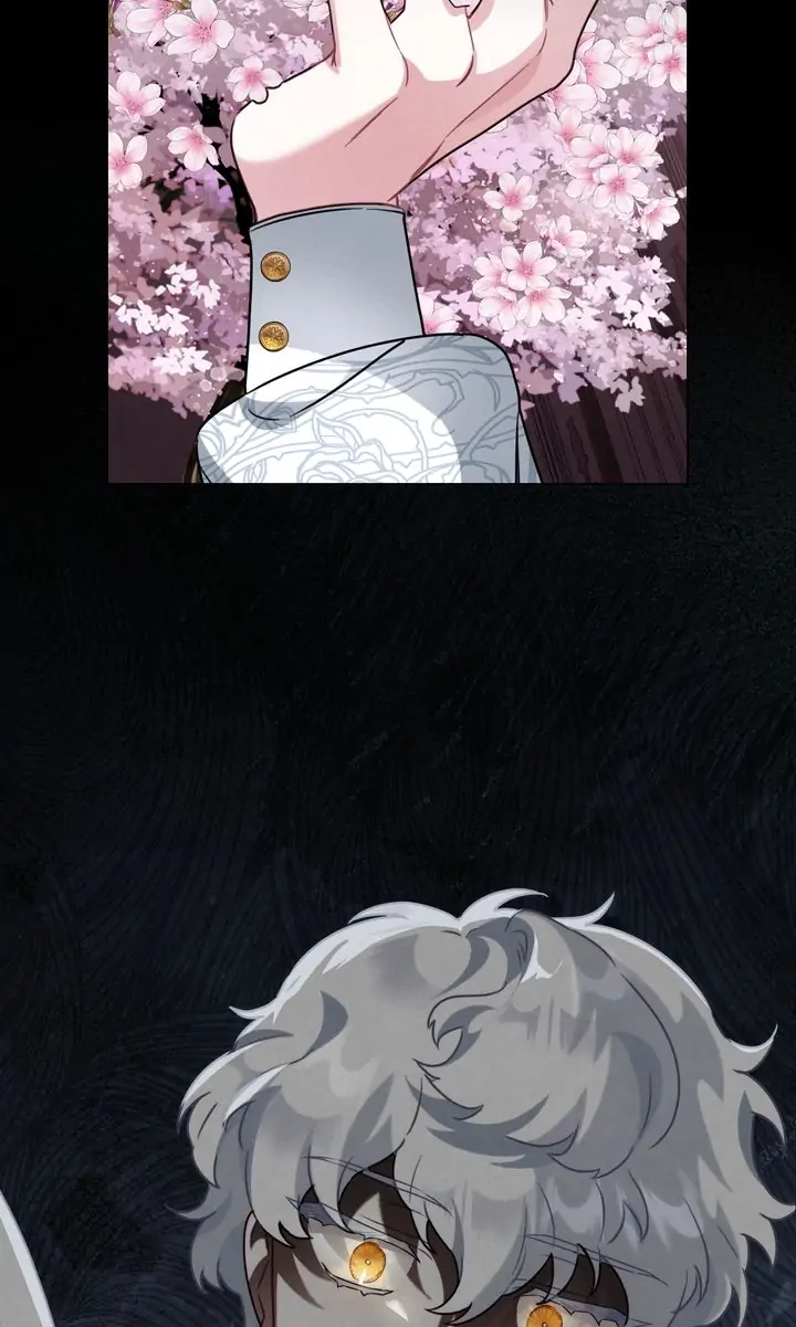The Golden Dawn Light Will Shine for You Chapter 65 - Page 69