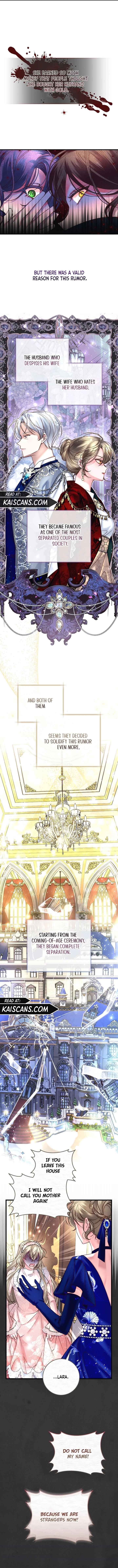 The Guidebook for Villainesses Chapter 3 - Page 3