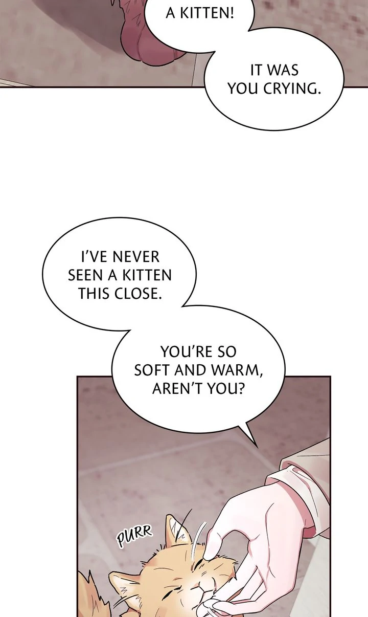 The House of Blind Sheep Chapter 13 - Page 11