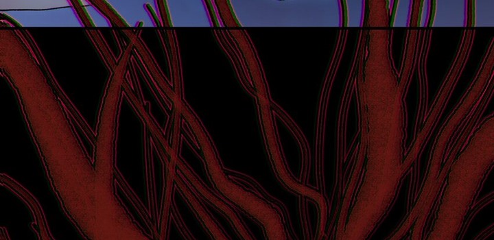 The King of Zombie Chapter 16 - Page 8