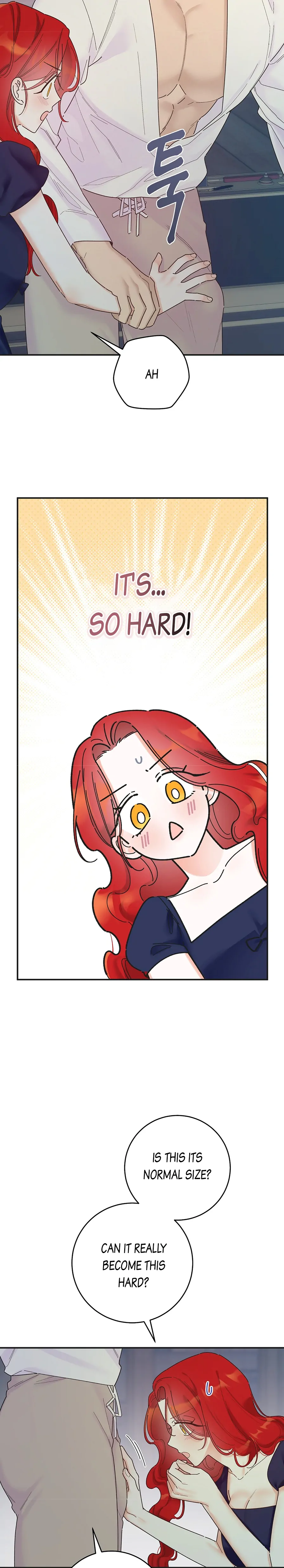 The Lady’s Erotic Hobbies Chapter 6 - Page 21
