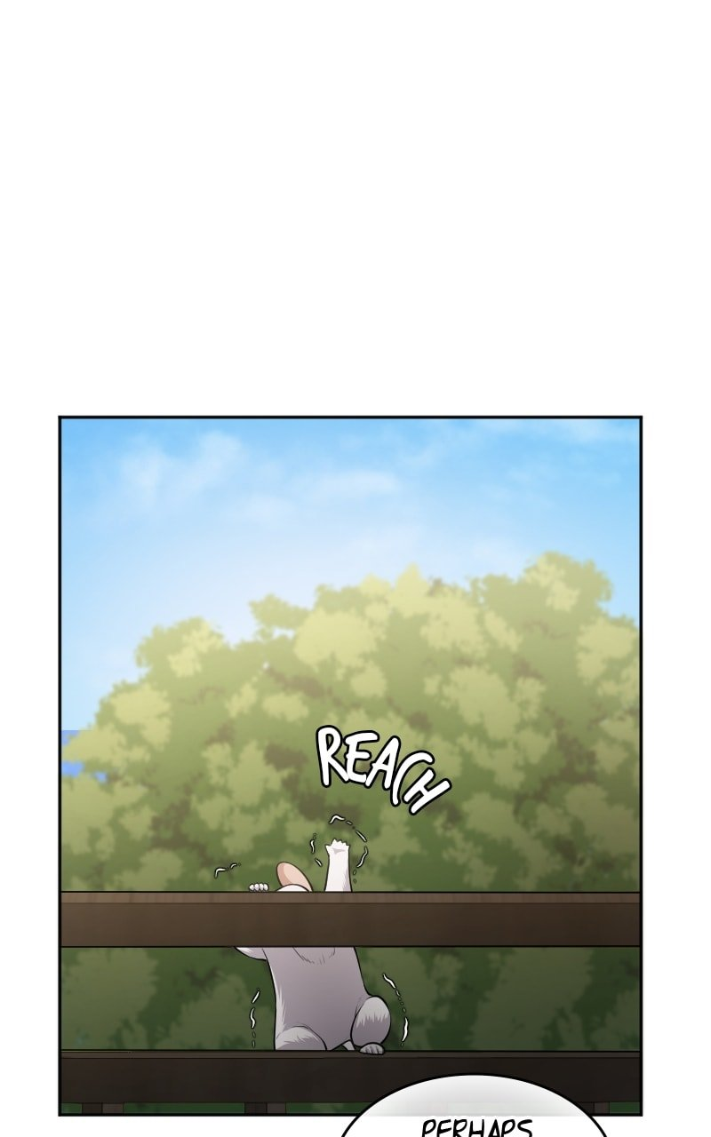 The Laws of Cultivation Chapter 37 - Page 23