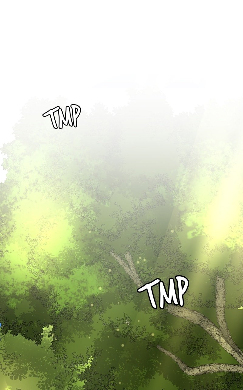 The Laws of Cultivation Chapter 39 - Page 0