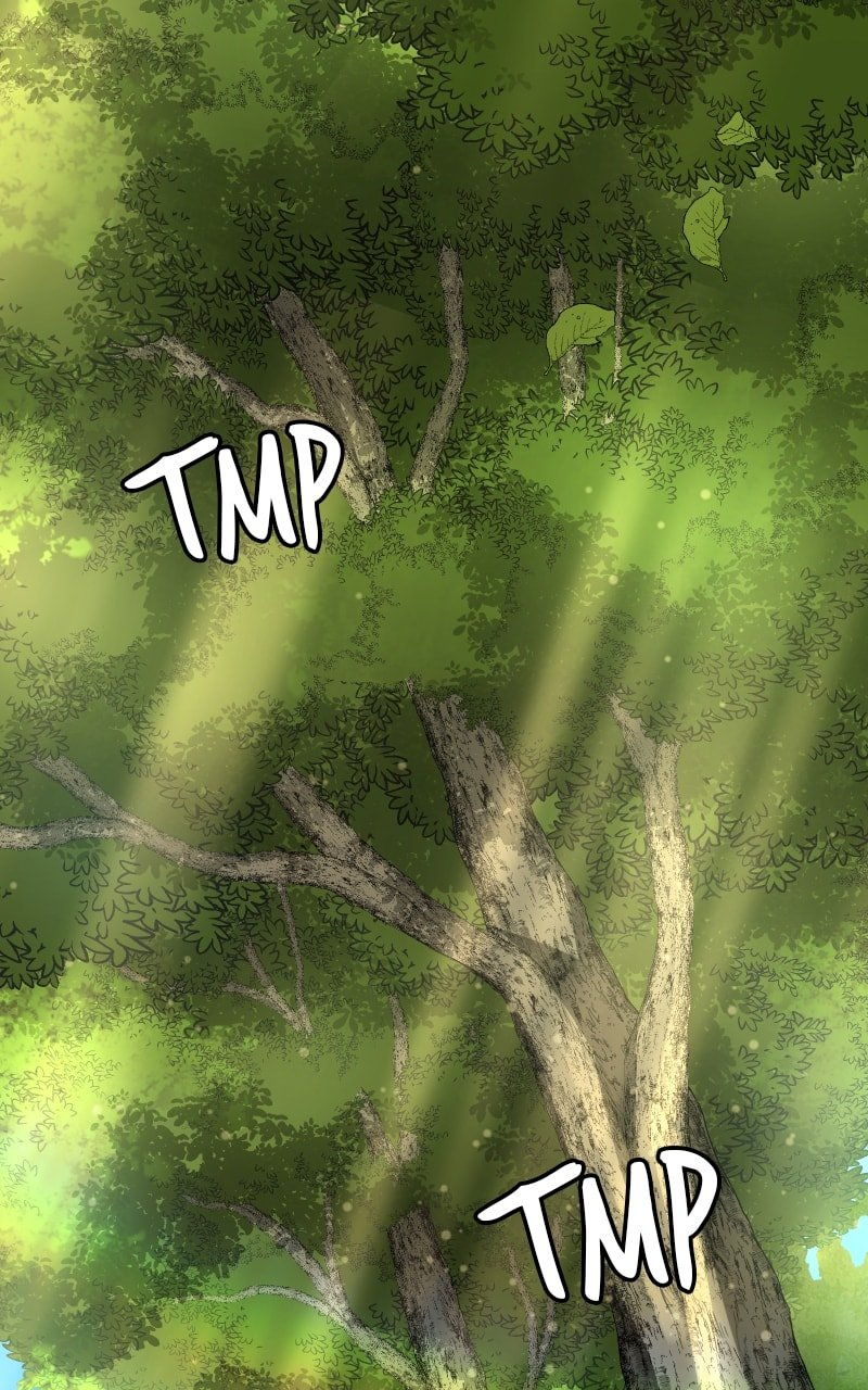 The Laws of Cultivation Chapter 39 - Page 1