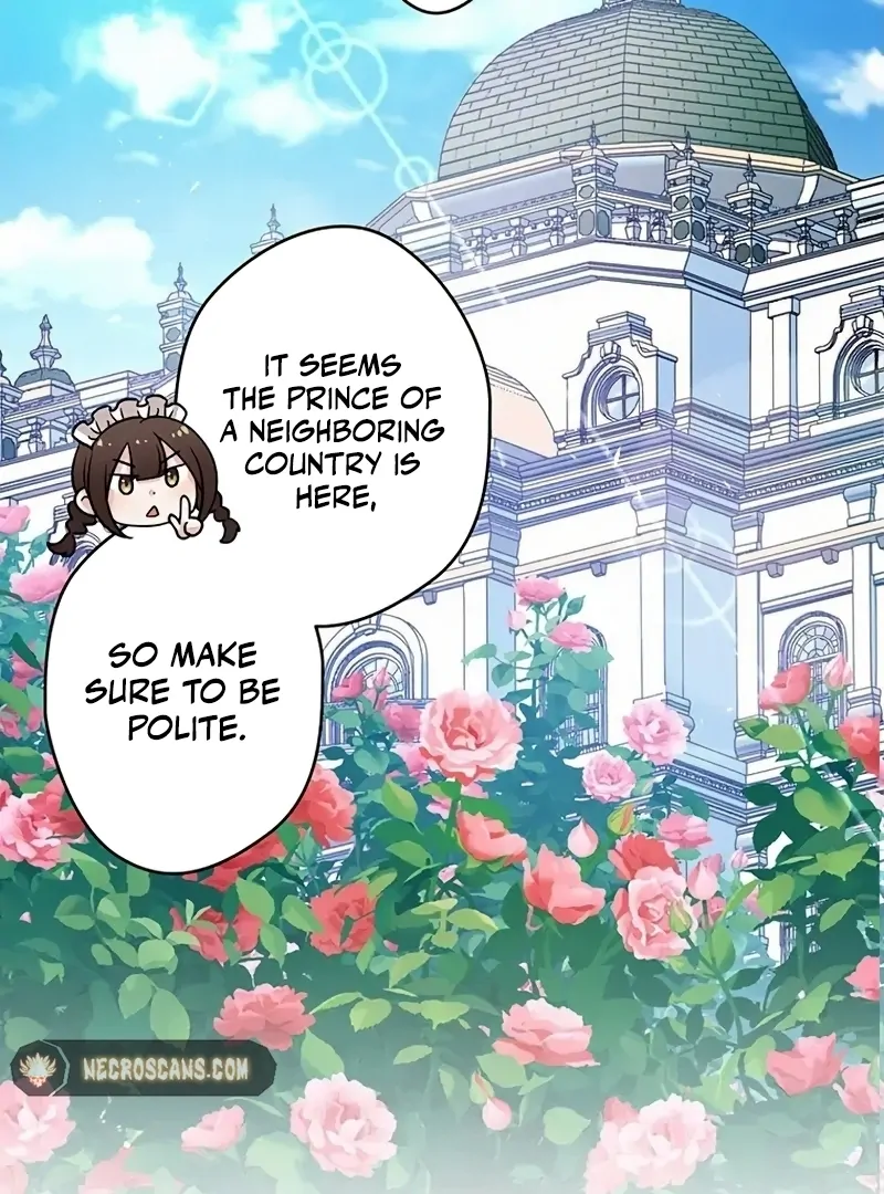 The Legendary Assassin Reincarnated as the Beloved Youngest Daughter of a Royal Family Chapter 13 - Page 4