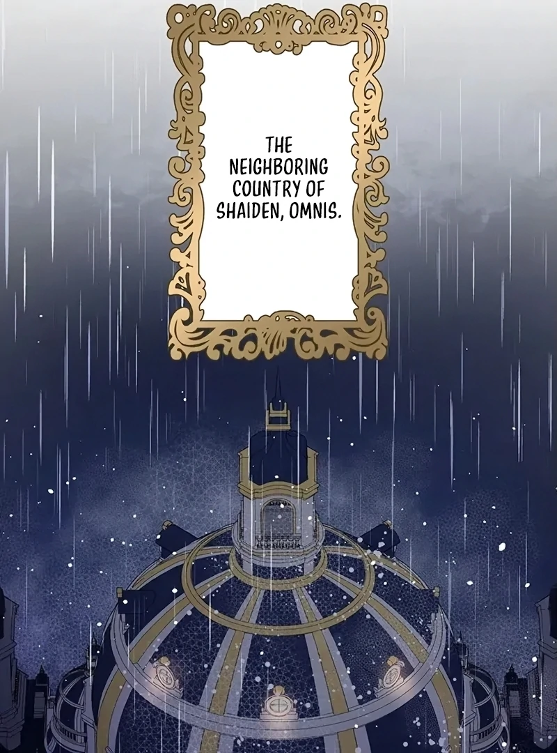 The Legendary Assassin Reincarnated as the Beloved Youngest Daughter of a Royal Family Chapter 14 - Page 44