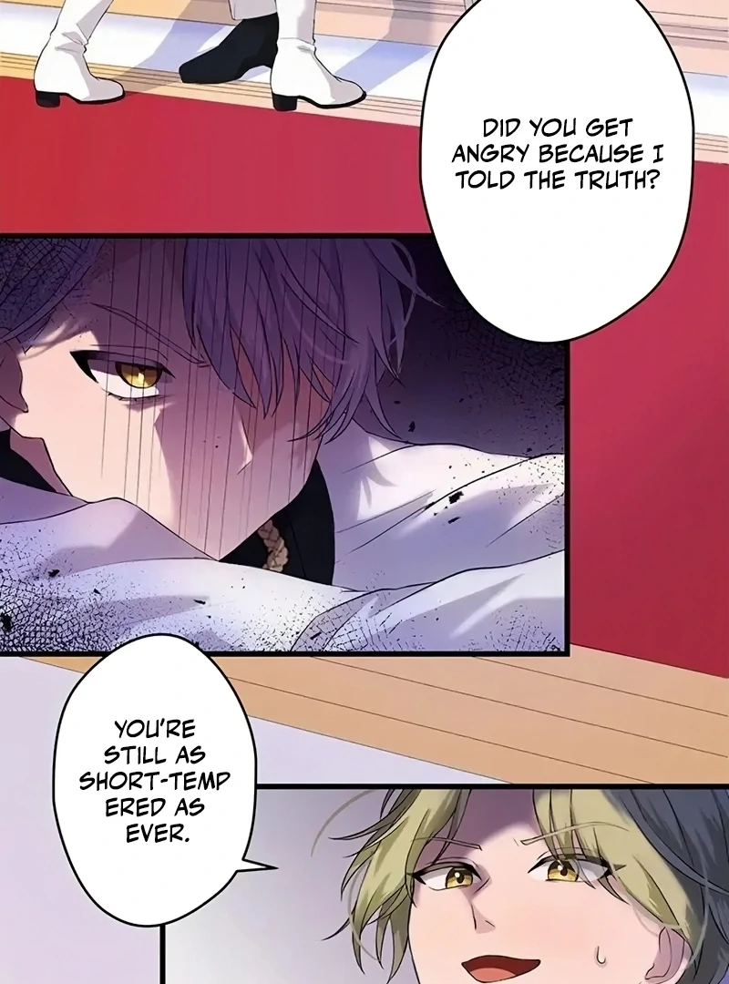 The Legendary Assassin Reincarnated as the Beloved Youngest Daughter of a Royal Family Chapter 15 - Page 19
