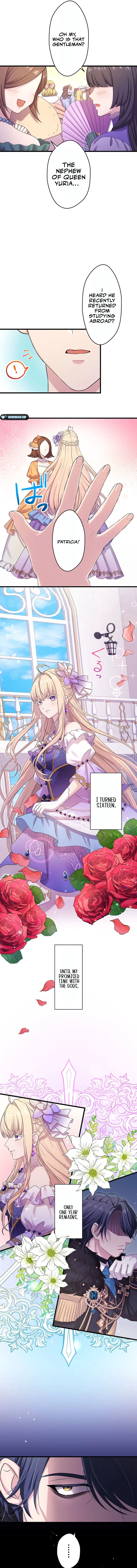 The Legendary Assassin Reincarnated as the Beloved Youngest Daughter of a Royal Family Chapter 37 - Page 6