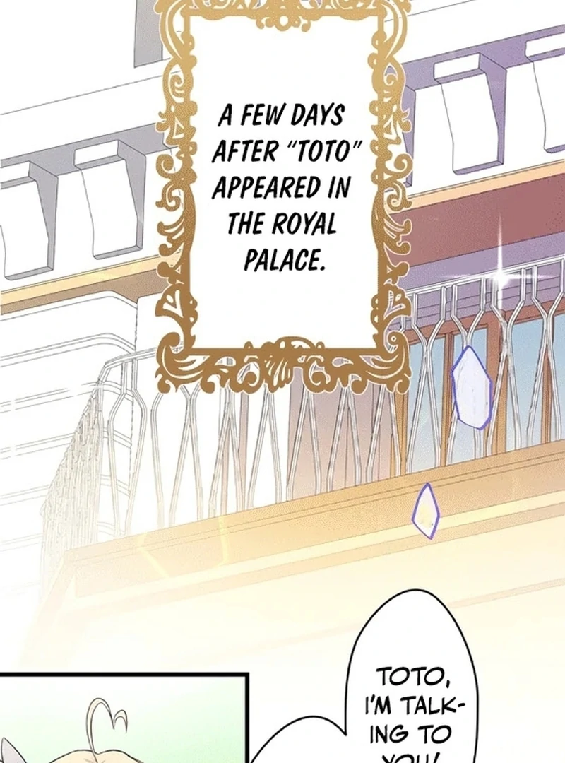 The Legendary Assassin Reincarnated as the Beloved Youngest Daughter of a Royal Family Chapter 7 - Page 47