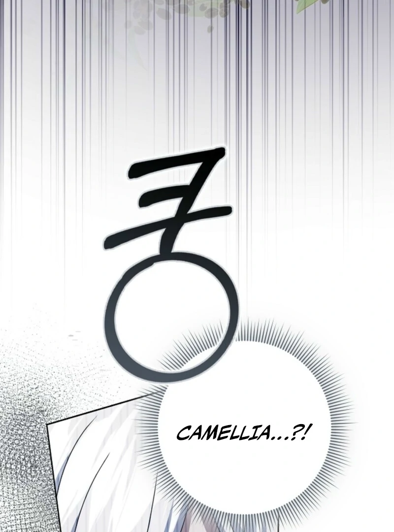 The Lost Cinderella Chapter 80 - Page 43