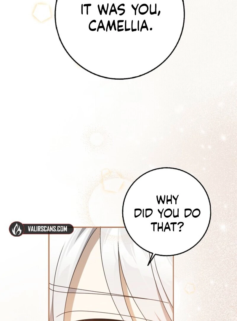 The Lost Cinderella Chapter 83 - Page 71